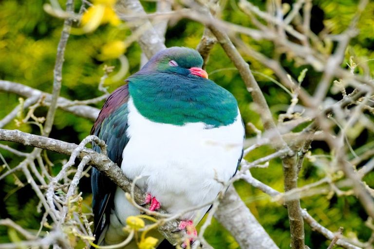 Photo of property in 63 Waiewe Street, Whakatane, 3120