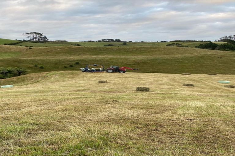 Photo of property in 378 Hursthouse Road, Tarurutangi, Inglewood, 4389