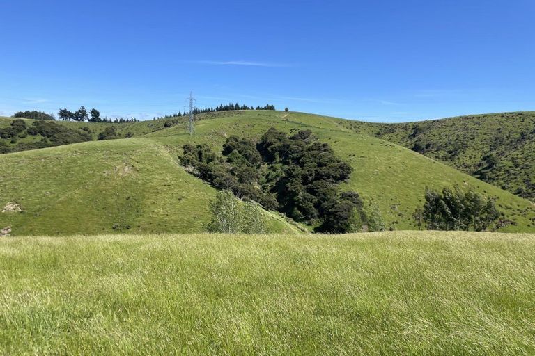 Photo of property in 47 Oopunga Road, Pukekohe, 2120