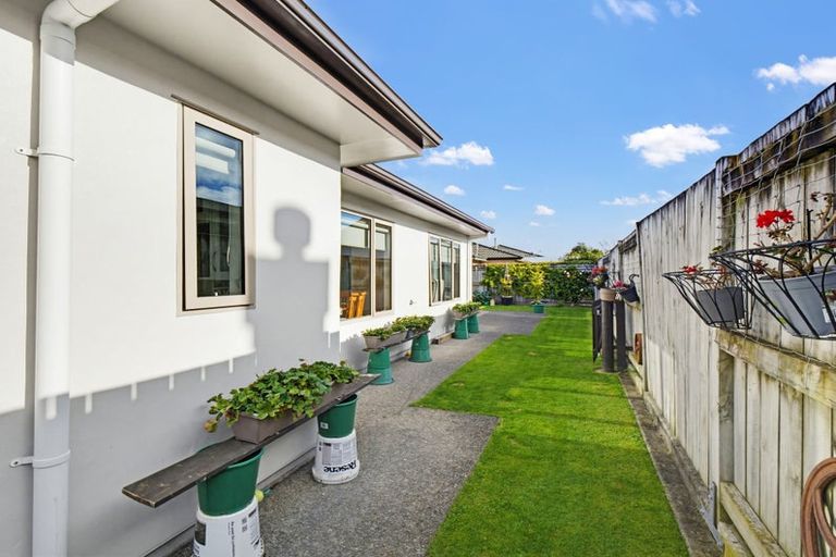 Photo of property in 50 Fitzroy Street, Terrace End, Palmerston North, 4410