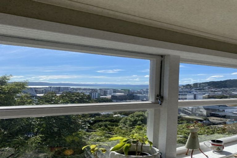 Photo of property in 53 Thompson Street, Mount Cook, Wellington, 6011