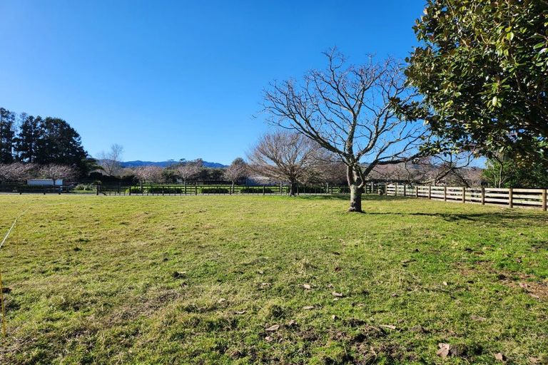 Photo of property in 9b Cameron Road, Hamilton East, Hamilton, 3216