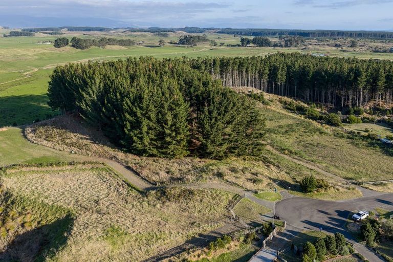 Photo of property in 16 Quail Way, Waitarere, Levin, 5510