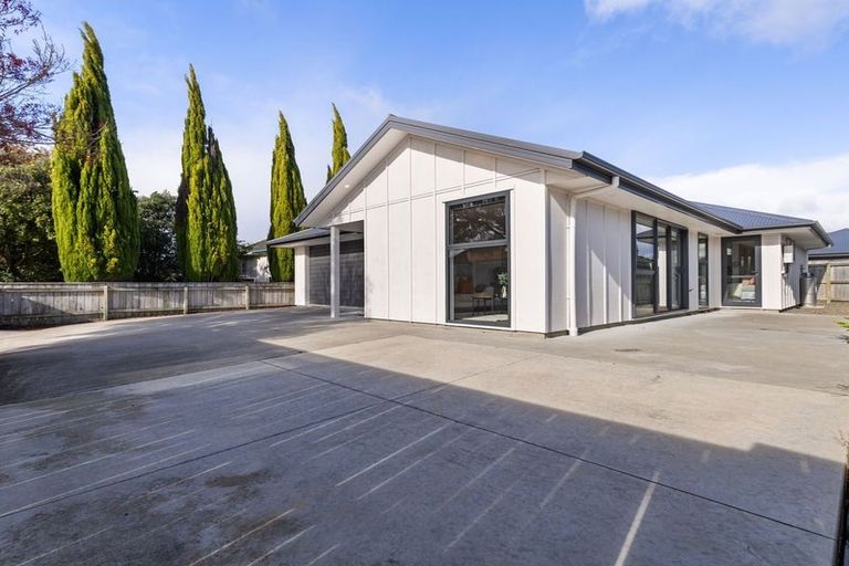 Photo of property in 27b Tyne Street, Roslyn, Palmerston North, 4414
