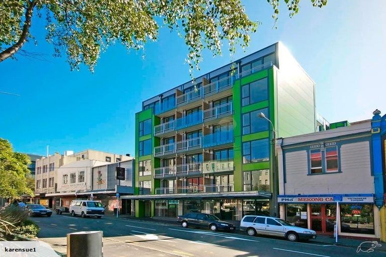 Photo of property in Dual Apartments, 508/142u Vivian Street, Te Aro, Wellington, 6011