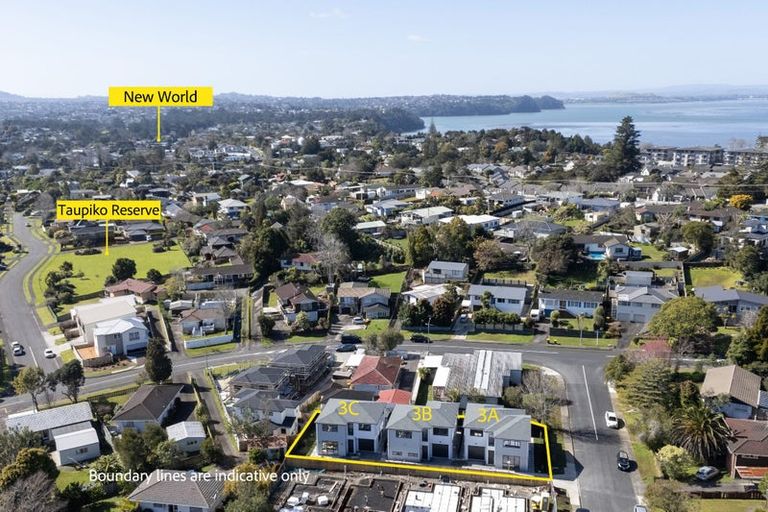 Photo of property in 3b Pendlebury Street, Green Bay, Auckland, 0604