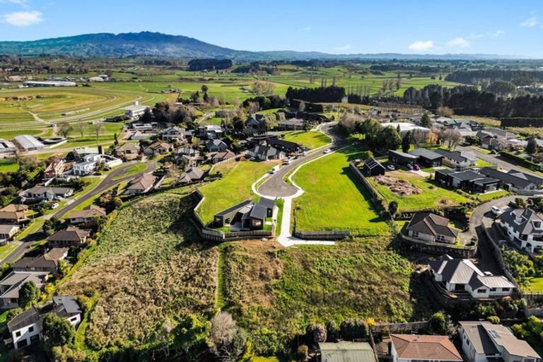 Photo of property in State Highway 2, Eketahuna, 4900