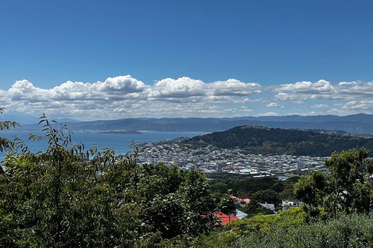 Photo of property in 23 Mitchell Street, Brooklyn, Wellington, 6021