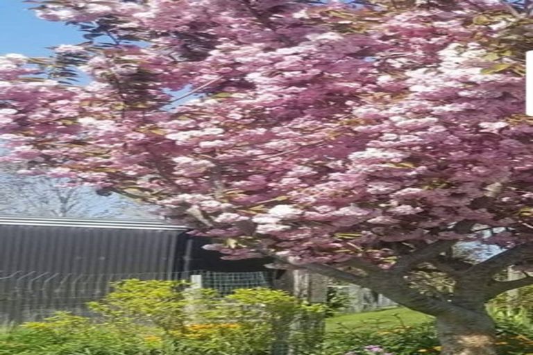 Photo of property in 48 Sherwood Road, Makikihi, Waimate, 7978