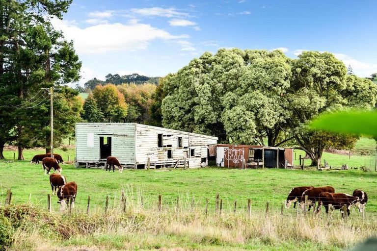 Photo of property in 24 Palm Grove Drive, Western Heights, Hamilton, 3200