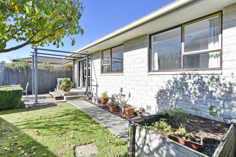 Photo of property in 17 Castile Place, Belfast, Christchurch, 8051