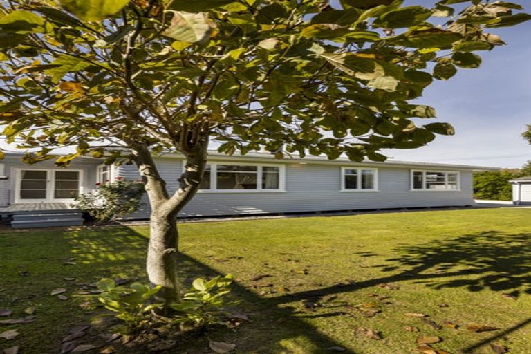 Photo of property in 24 Lucas Street, Riversdale, Blenheim, 7201