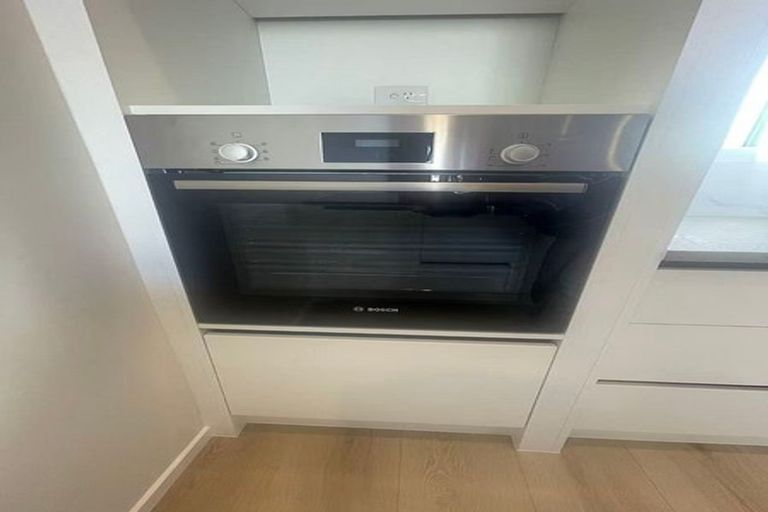 Photo of property in 3 Lemon Tree Lane, Flat Bush, Auckland, 2019