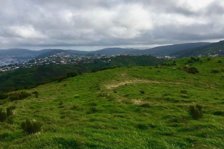 Photo of property in 9a Grumman Lane, Newlands, Wellington, 6037