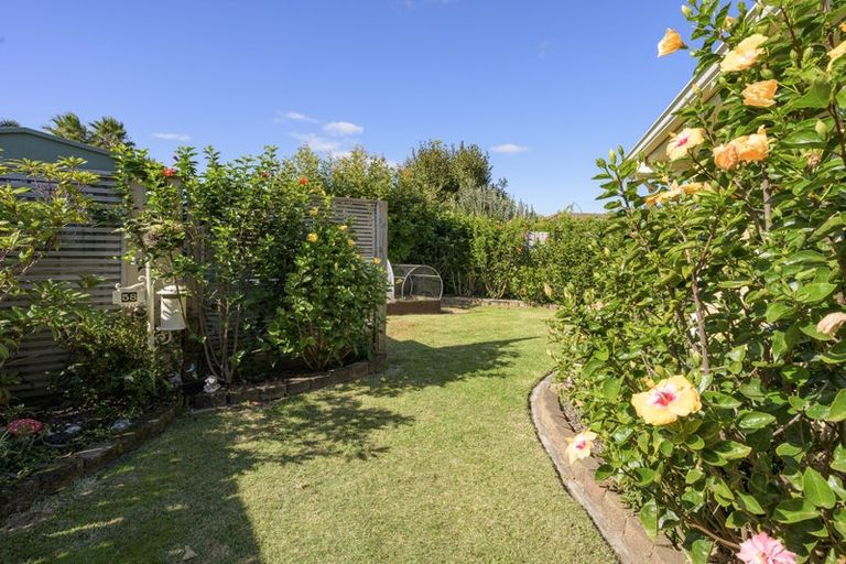 Photo of property in 58 Pacific Cove Drive, Papamoa Beach, Papamoa, 3118