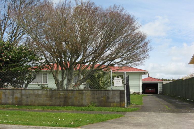 Photo of property in 22a Maire Street, Inglewood, 4330