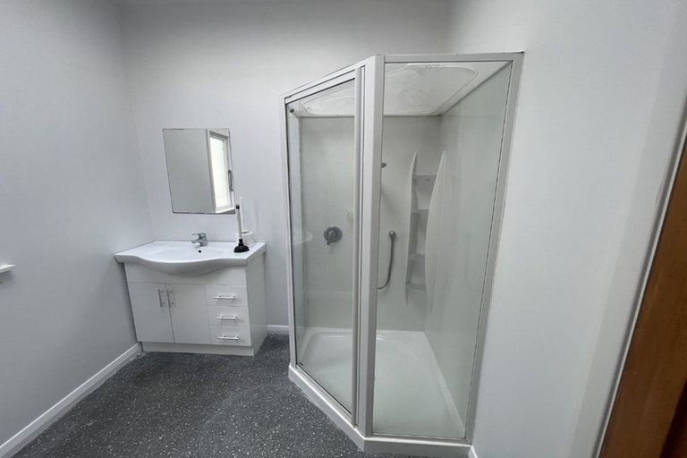 Photo of property in 60a Rakau Road, Hataitai, Wellington, 6021