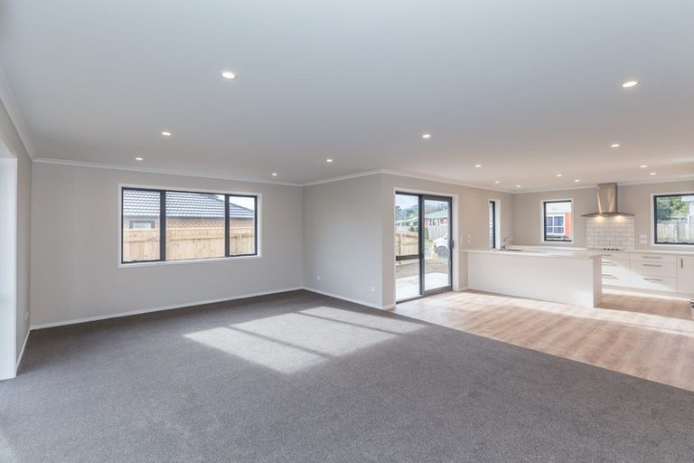 Photo of property in 93 Fairfield Road, Levin, 5510