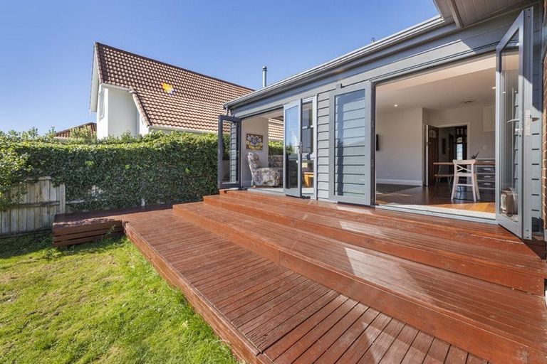 Photo of property in 19 Ings Avenue, Saint Clair, Dunedin, 9012