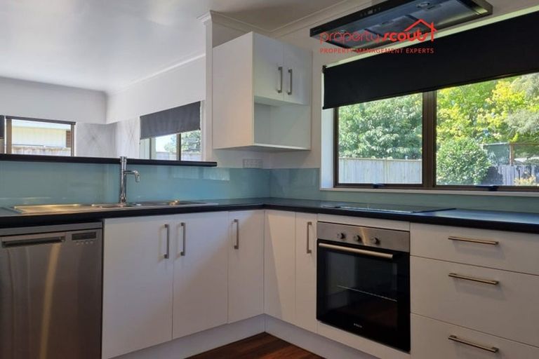 Photo of property in 5 Park Lane, Waitara, 4320
