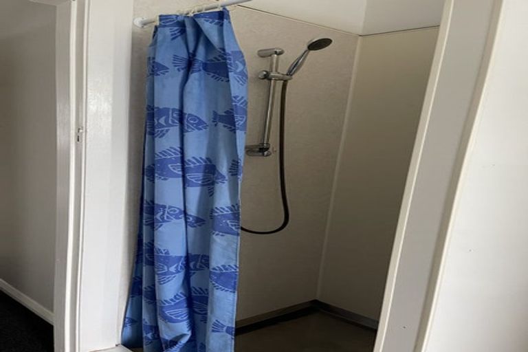 Photo of property in 78 Queen Street West, Levin, 5510