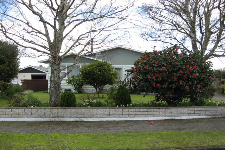 Photo of property in 49 Iorns Street, Masterton, 5810