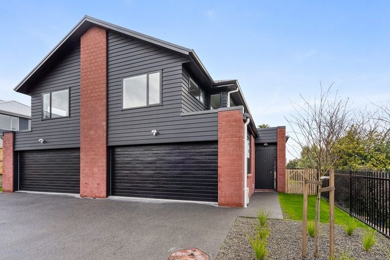 Photo of property in 18u8 Mahoe Street, Melville, Hamilton, 3206