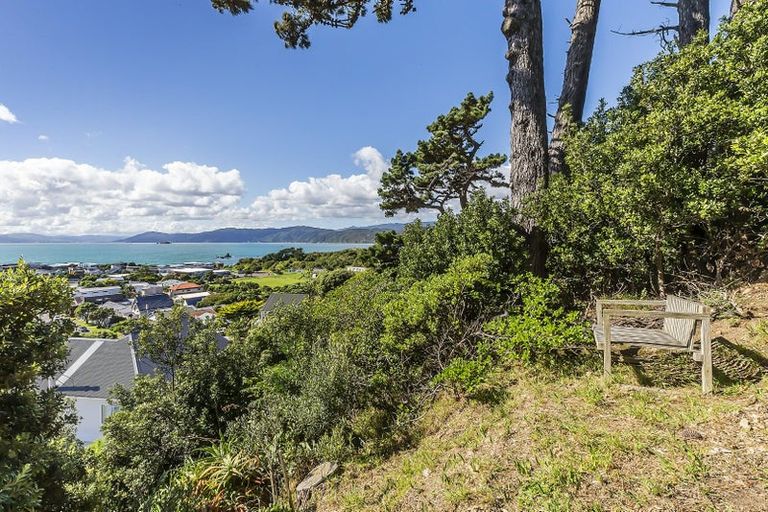 Photo of property in 49 Mantell Street, Seatoun, Wellington, 6022