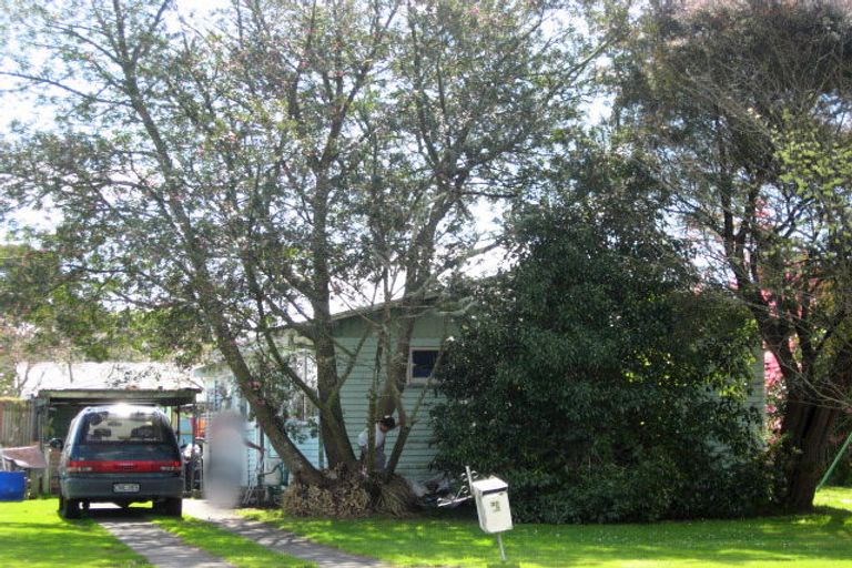 Photo of property in 38 Paki Street, Huntly, 3700