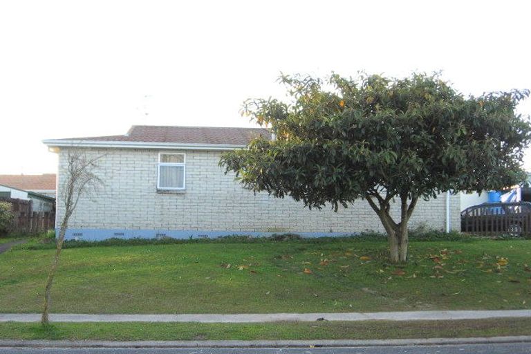 Photo of property in 24 Halberg Crescent, Chartwell, Hamilton, 3210