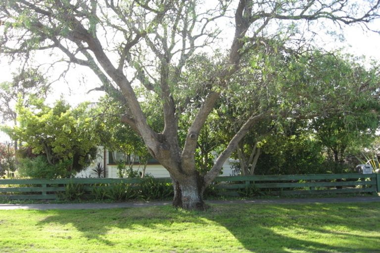 Photo of property in 11 Foster Street, Te Hapara, Gisborne, 4010