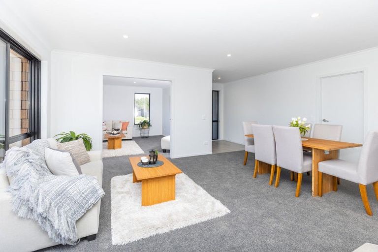 Photo of property in 17 Tekapo Road, Baverstock, Hamilton, 3200