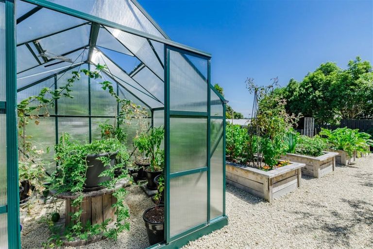 Photo of property in 31 Kaimanawa Street, Paraparaumu, 5032