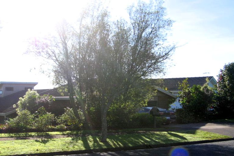 Photo of property in 13 Pelorus Street, Glenview, Hamilton, 3206