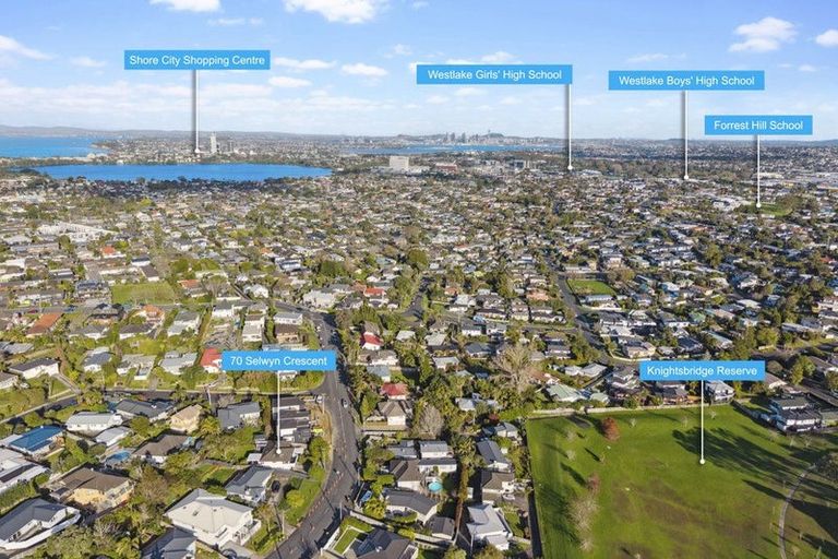 Photo of property in 70 Selwyn Crescent, Forrest Hill, Auckland, 0620