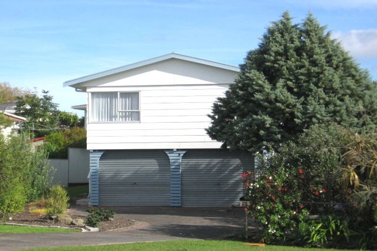 Photo of property in 46 Hinerau Street, Henderson, Auckland, 0612