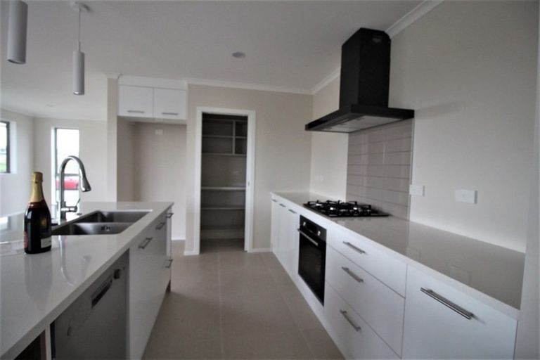 Photo of property in 25 Maggie Place, Chartwell, Hamilton, 3210