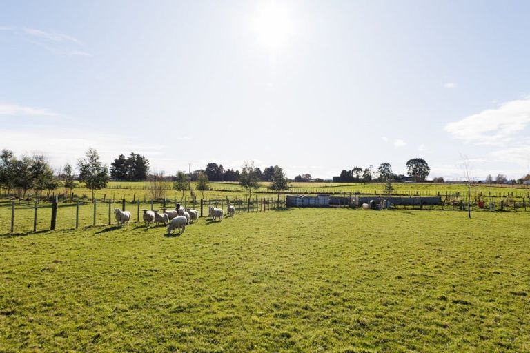 Photo of property in 62 Nga Tawa Road, Marton, 4787