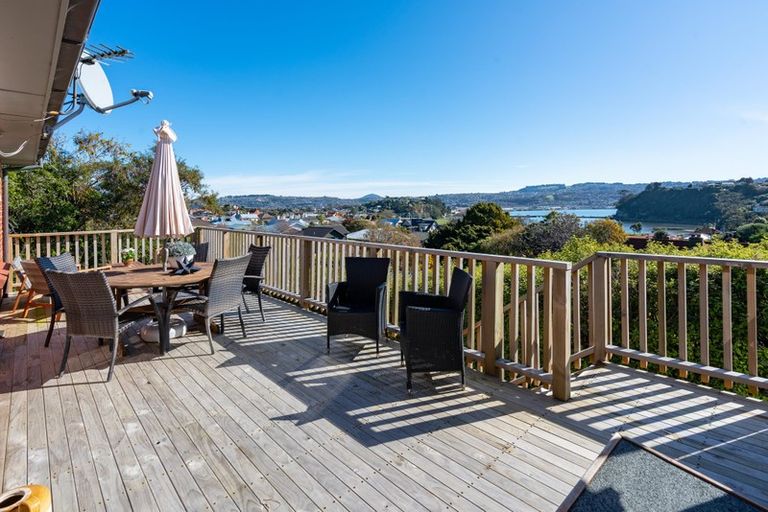 Photo of property in 41 Sunbury Street, Andersons Bay, Dunedin, 9013
