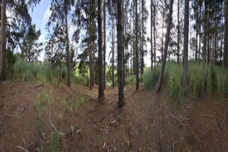 Photo of property in 913 Access Road, Ruawai, 0592