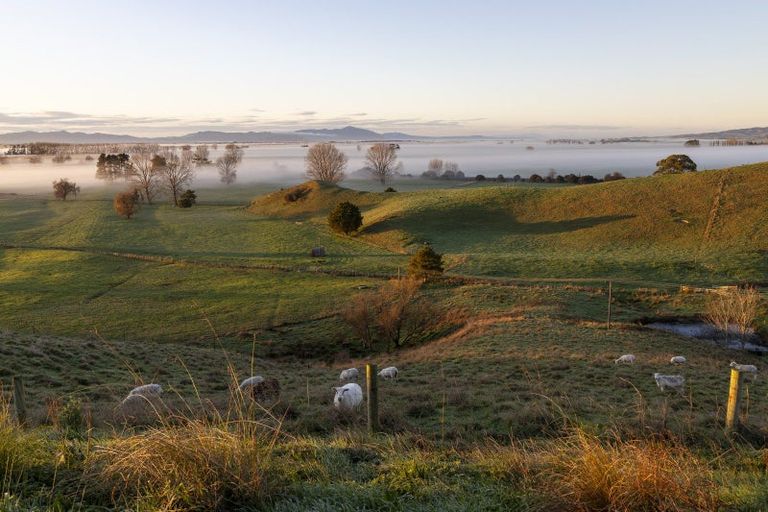 Photo of property in 399 Mahuta Road, Mangatarata, Thames, 3576