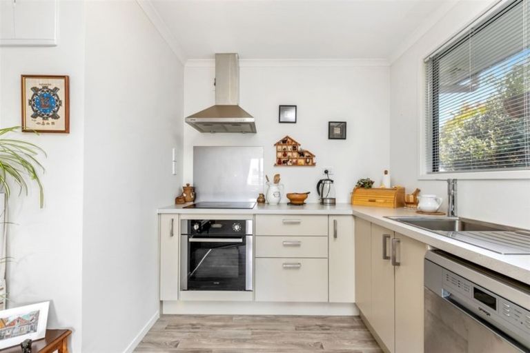 Photo of property in 33 Coopers Road, Gate Pa, Tauranga, 3112
