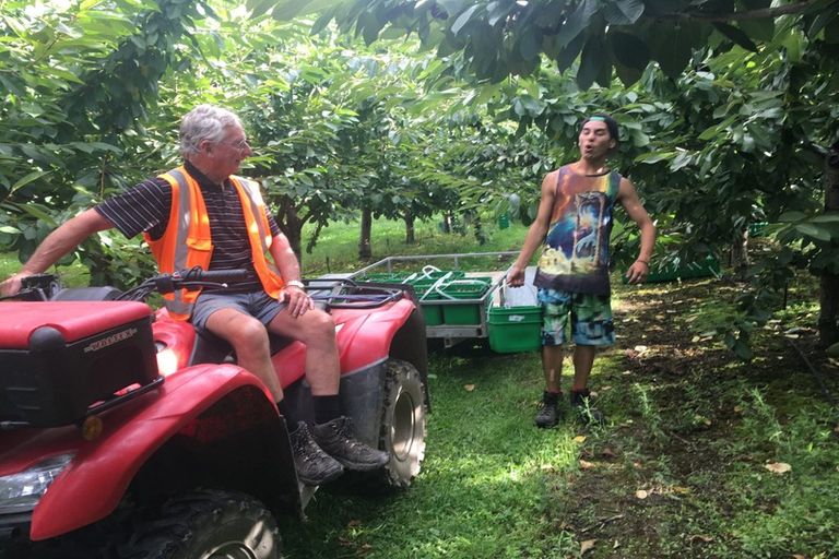 Photo of property in 66 Gladsmuir Road, Queensberry, Cromwell, 9383