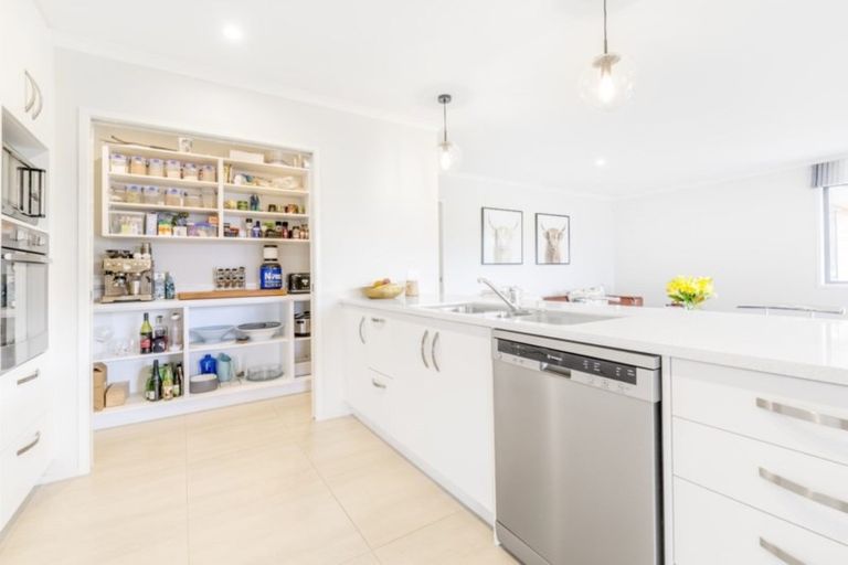 Photo of property in 9 Brian Cowley Place, Tuakau, 2121