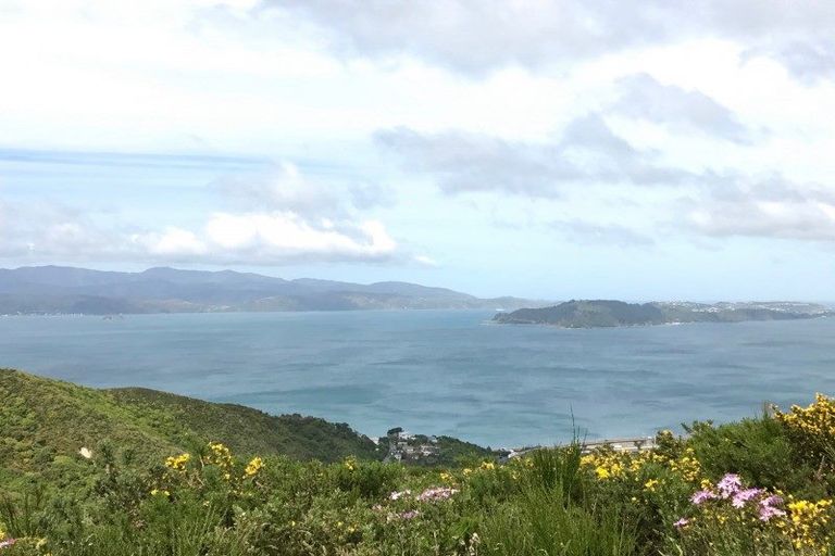 Photo of property in 9a Grumman Lane, Newlands, Wellington, 6037