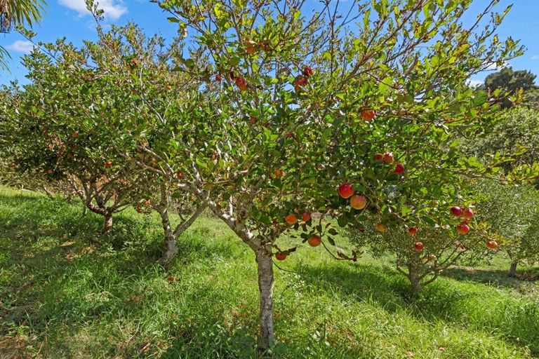 Photo of property in 448 Wainui Road, Raglan, 3297