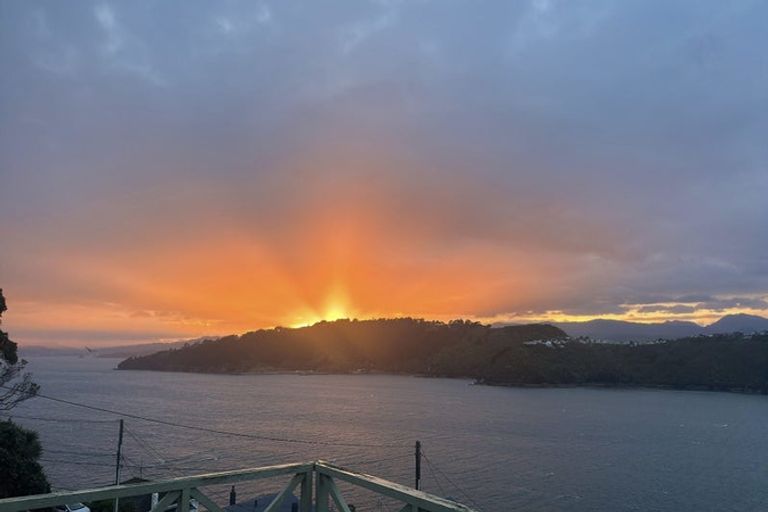 Photo of property in 89 Te Anau Road, Hataitai, Wellington, 6021