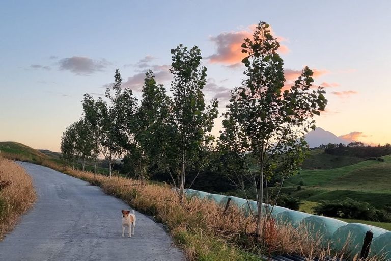 Photo of property in 378 Hursthouse Road, Tarurutangi, Inglewood, 4389