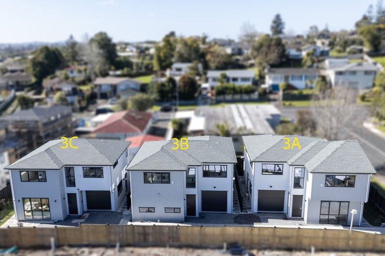 Photo of property in 3b Pendlebury Street, Green Bay, Auckland, 0604