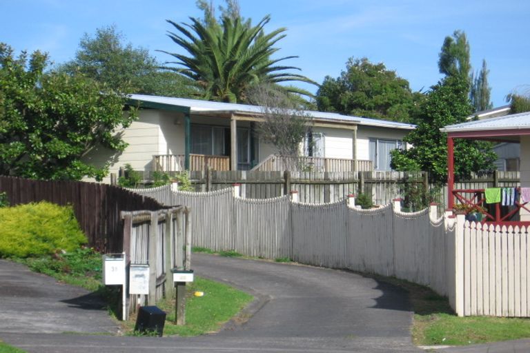 Photo of property in 42 Hinerau Street, Henderson, Auckland, 0612